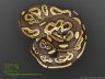 Mojave het Red Axanthic - 